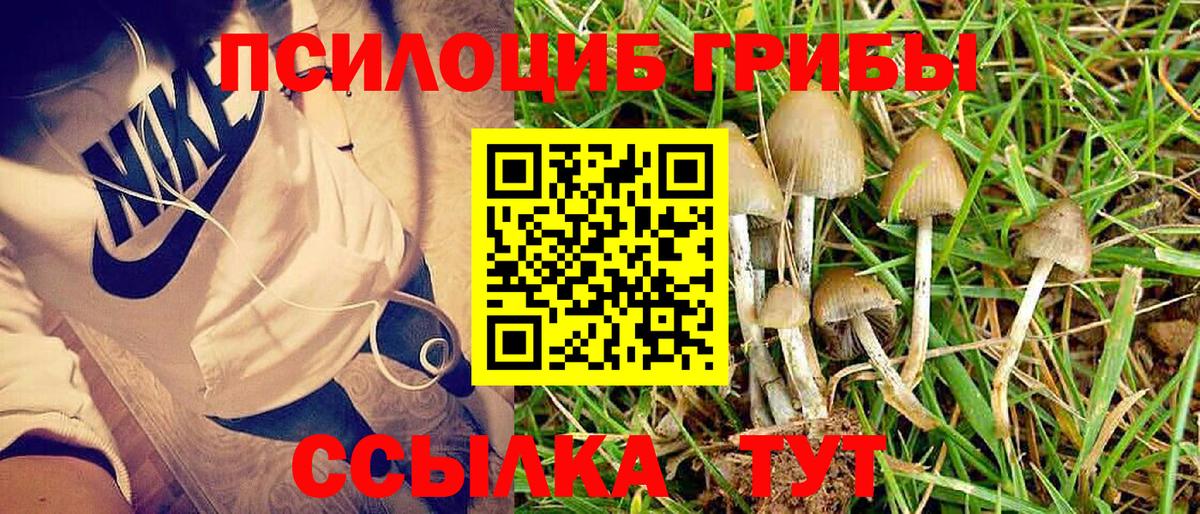 Галлюциногенные грибы MAGIC MUSHROOMS Сибай