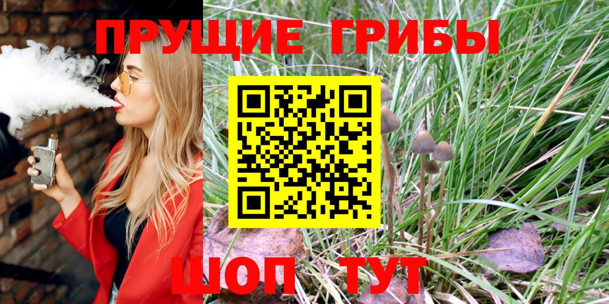 Галлюциногенные грибы Psilocybe  Псилоцибиновые грибы Psilocybe  Вход с VPN  сколько стоит  Сибай 